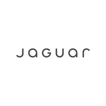 Imagine pentru producător Jaguar