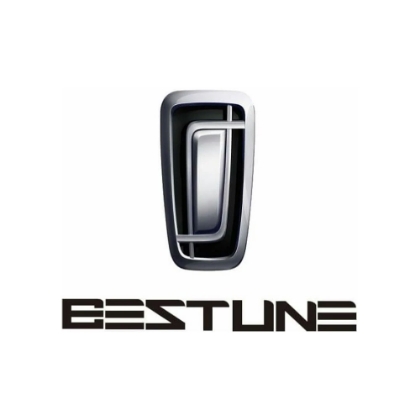 Imagine pentru producător Bestune