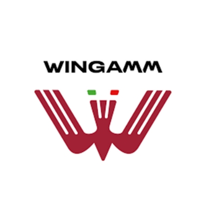 Imagine pentru producător Wingamm
